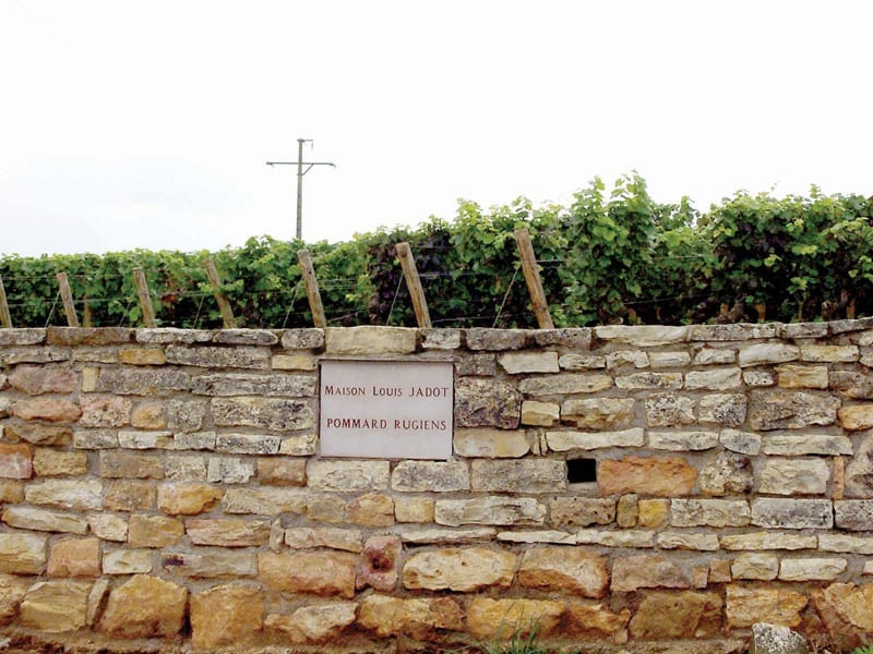 Vineyard Pommard, Burgundy, Louis Jadot, stone wall