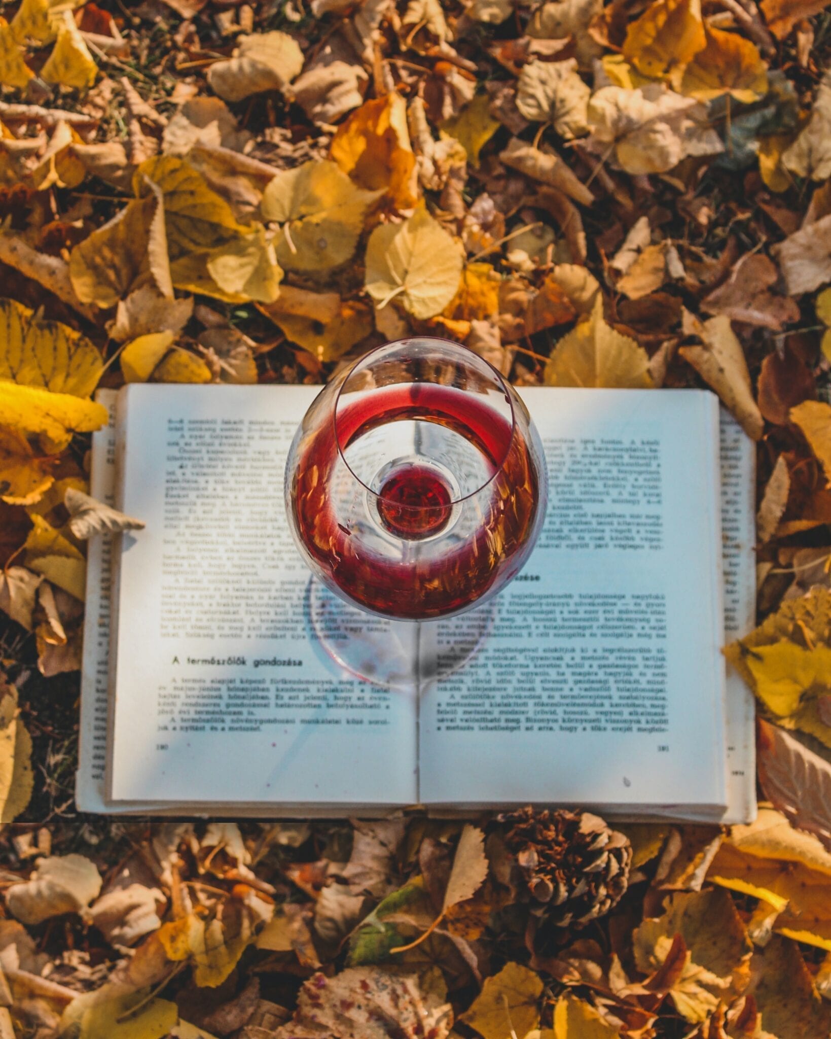 Wine glass, book, autumn leaves