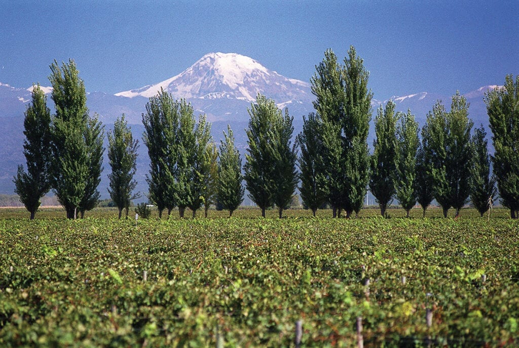 Andes Mountains and Alta Vista vineyards