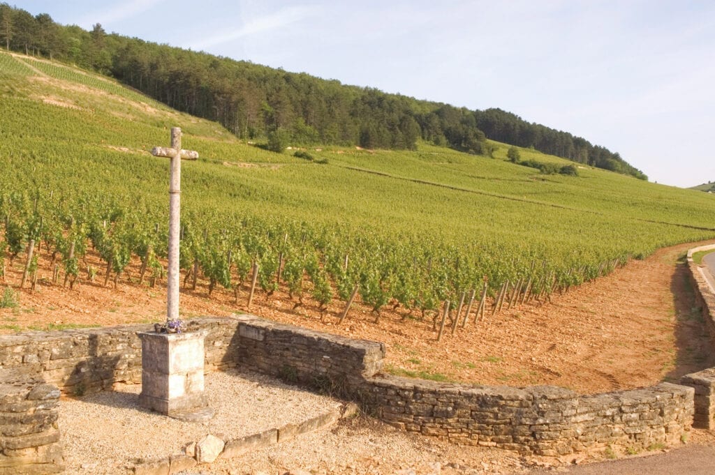Clos de la Croix de Pierre, Louis Jadot, vineyards