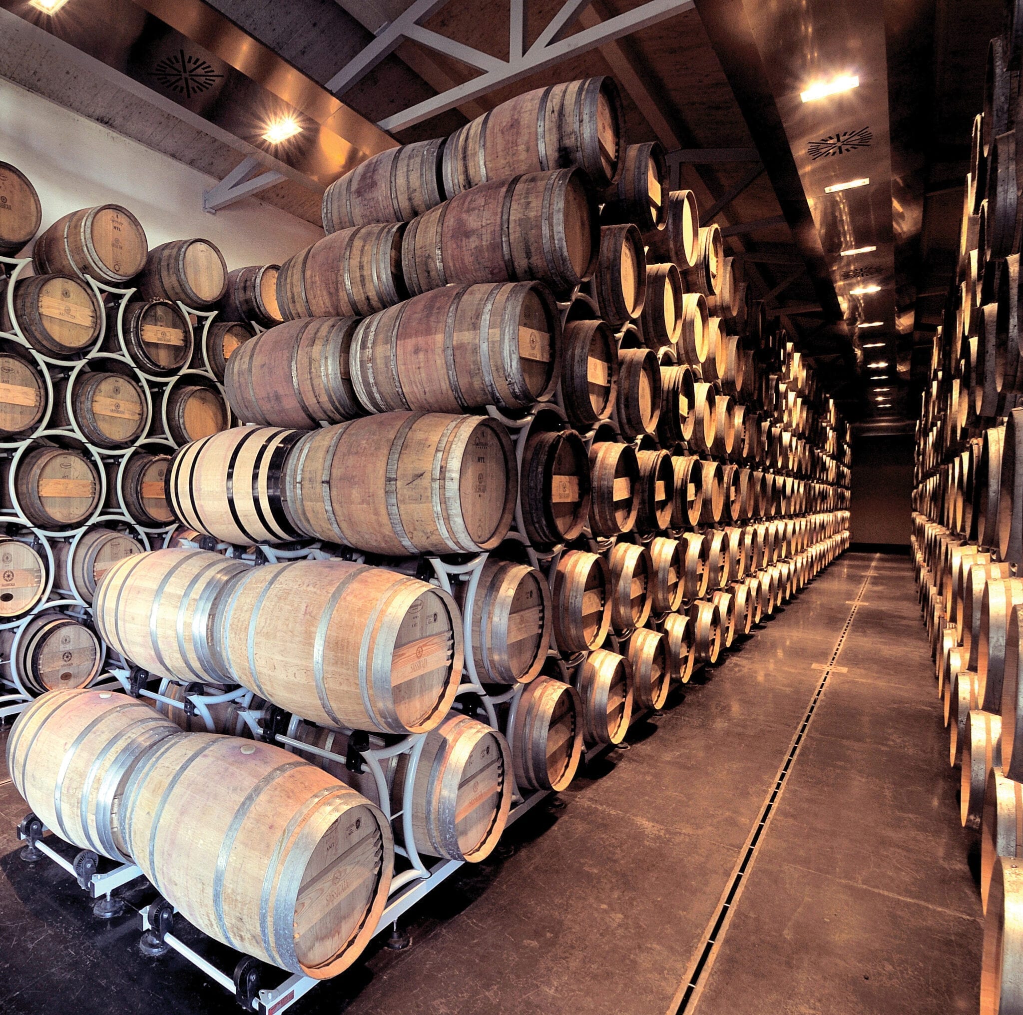 Tenuta San Guido winery, cellars, Sassicaia, wine, barrels