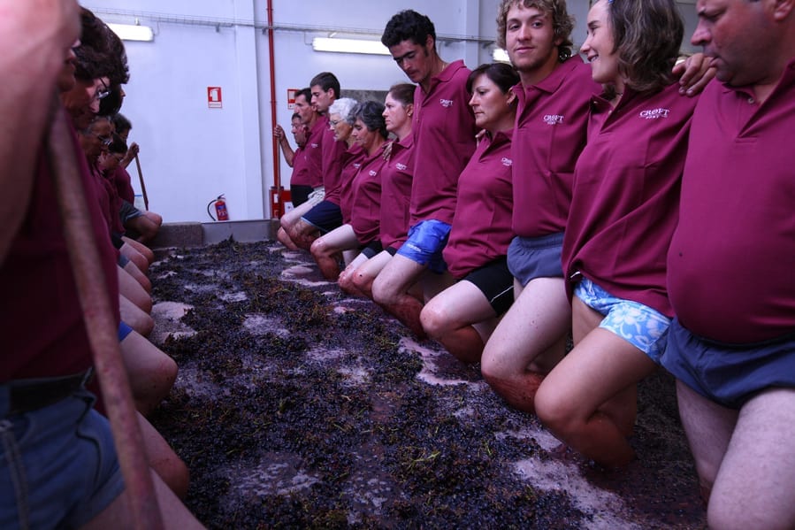 Foot treading grapes for Port wine, a process that's the same for ruby vs tawny Port
