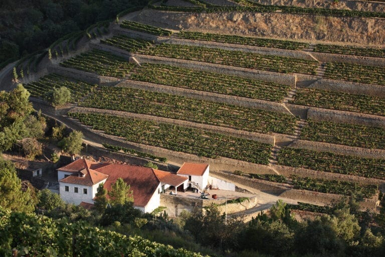 Taylor Fladgate vineyards in Portugal, Douro River Valley, Porto