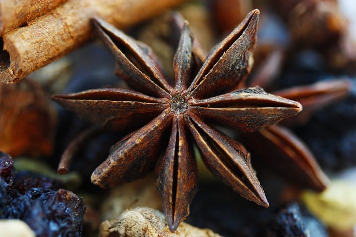 Mulled wine spices, star anise. Photo by Puno 3000, Creative Commons