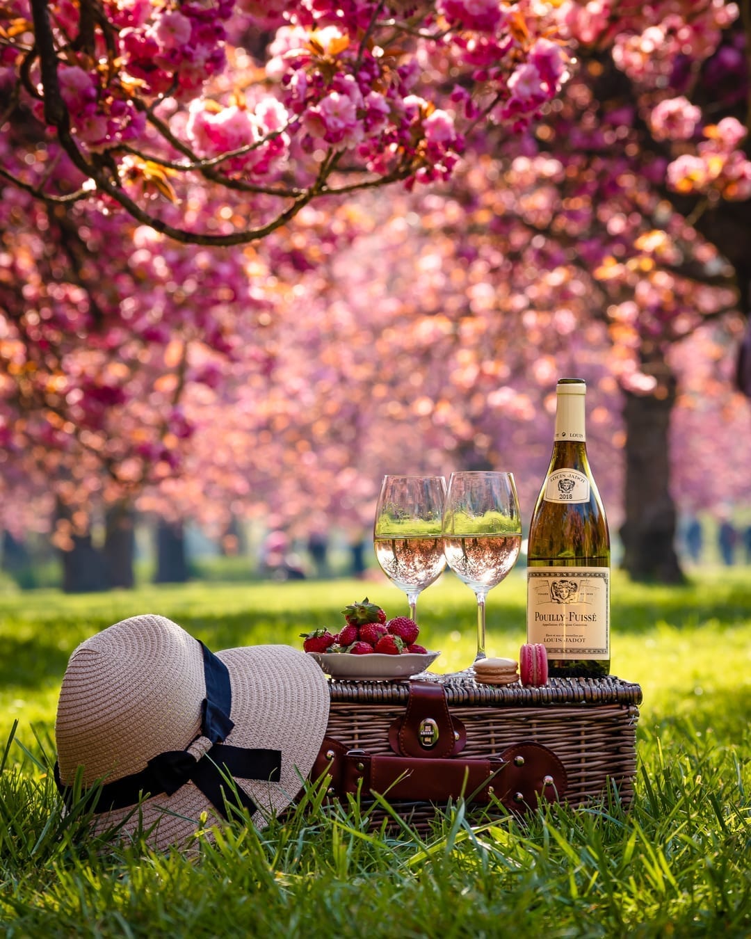 picnic, wine, paris, france