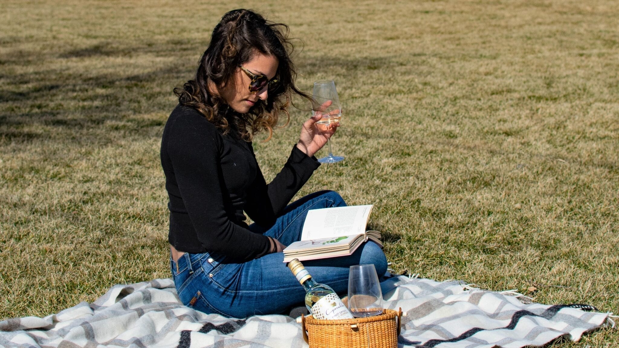 Caposaldo, wine picnic, reading, book