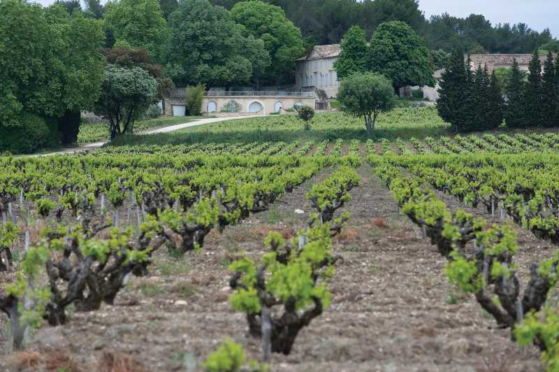 Vineyards and Chateau of Chateau d'Aqueria winery in France