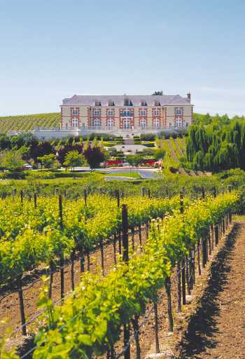 Domaine Carneros vineyard and chateau