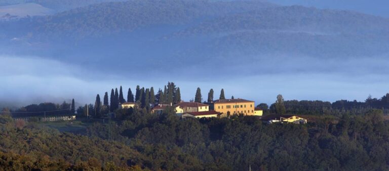 Casale del Bosco - Tenute Silvio Nardi - Brunello di Montalcino