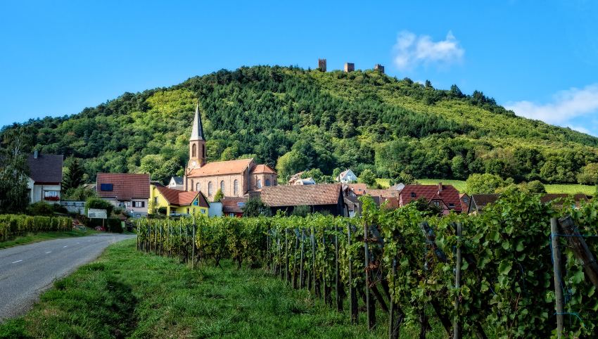 Vineyards and town in Alsace, France. Photo_ Floyd, Flickr