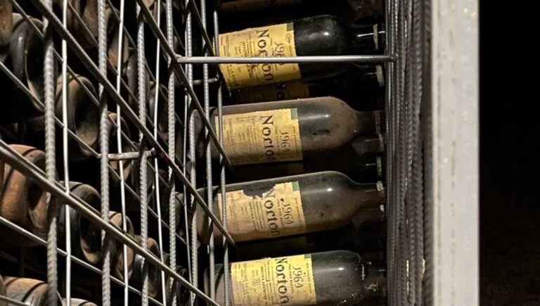 wine aging - Old Norton wines