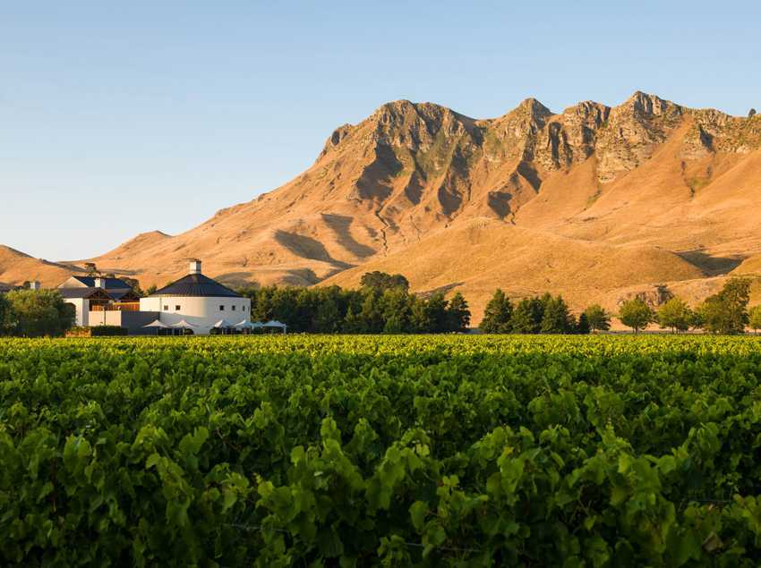 Craggy Range Giants Winery